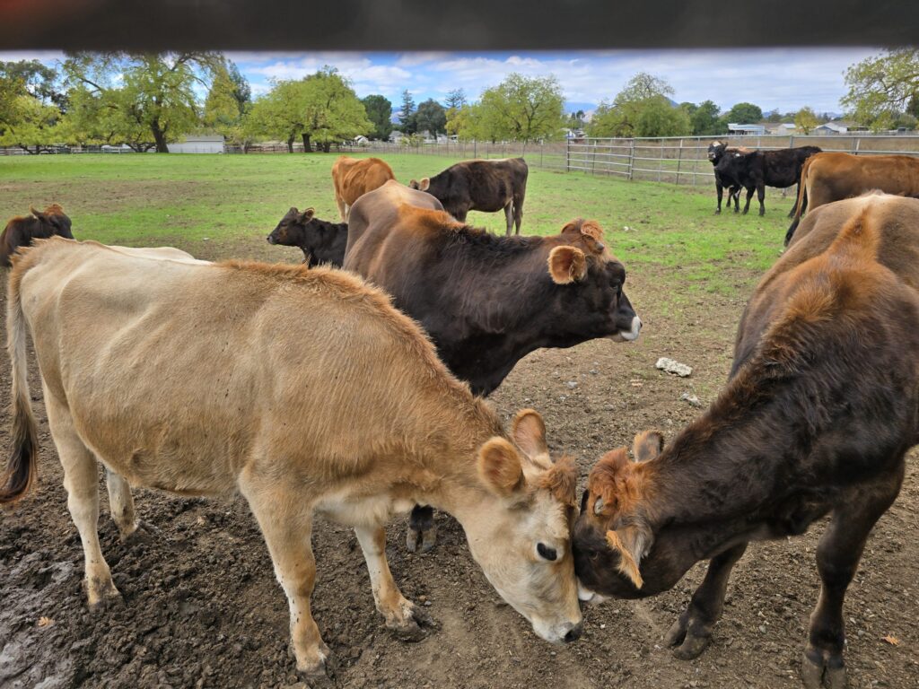 20251027 125121 scaled