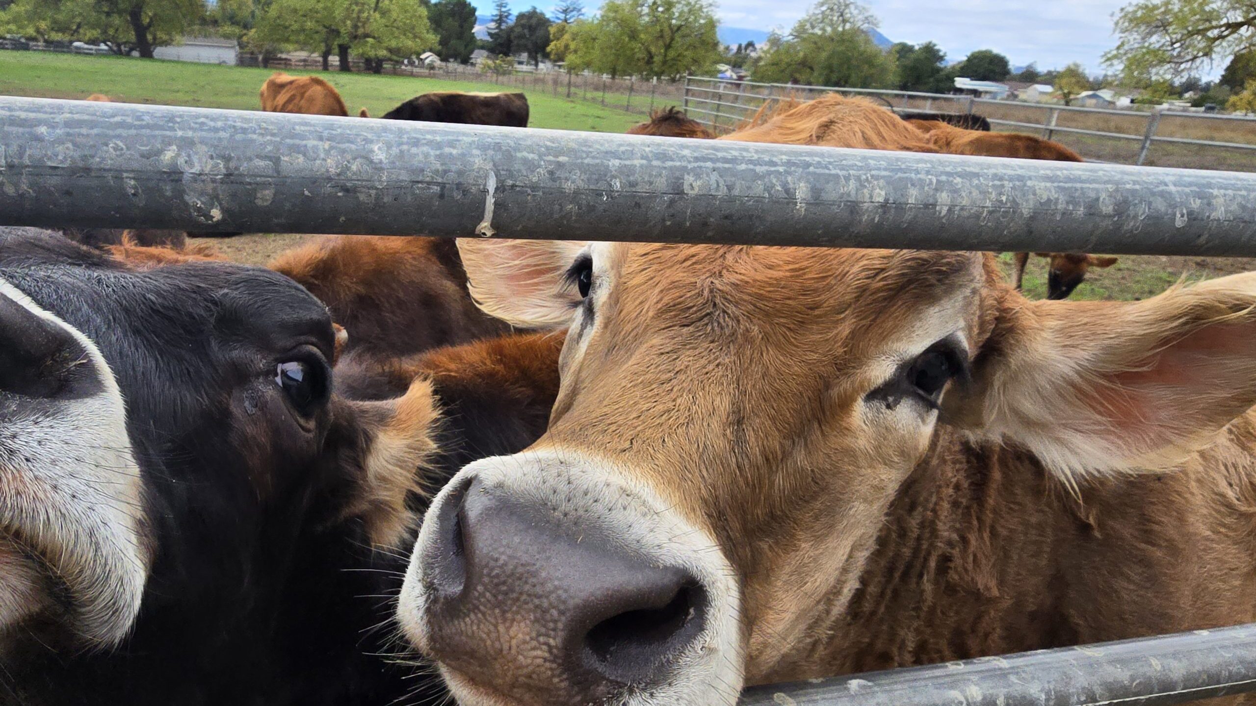 20251027 125129 scaled